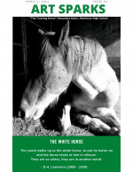 Issue #48