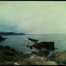 "COVID Dreams" <br/> $300