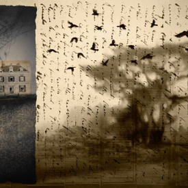 "Sheltering in Place n.1" <br/> $800