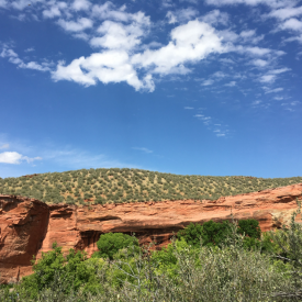 "Wwaavvyy"<br/>
Luke Metcalfe<br/>
Monterey High School<br/>