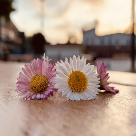 "Untitled"<br/>
Beatriz Hernandez Romero<br/>
Monterey High School<br/>