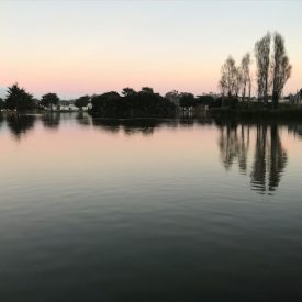 Untitled<br/>
Michael Blitch<br/>
Stevenson School<br/>