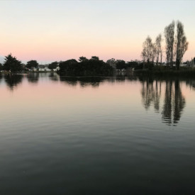 Untitled<br/>
Michael Blitch<br/>
Stevenson School<br/>