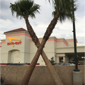 "Our Strange World"<br/>
Caleb Retzlaff<br/>
Monterey High School<br/>