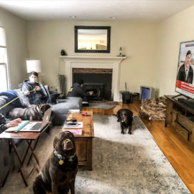 "Covid Clones"<br/>
Sean Seggerty<br/>
Stevenson School<br/>