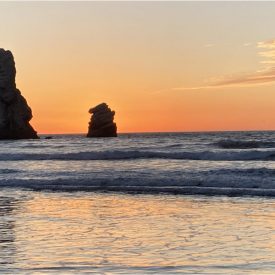 "Sunset"<br/>
Diego Mateos Murphy<br/>
Monterey High School<br/>