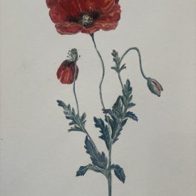 "What is Known"<br/>
Chela Diffenbaugh<br/>
Youth Arts Collective<br/>