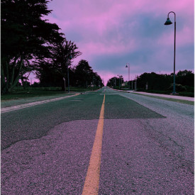 "Pink Street"<br/>
Dryden Fletcher<br/>
Monterey High School<br/>