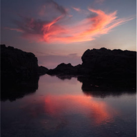 "Halo"<br/>
Dylan Eden<br/>
Monterey High School<br/>