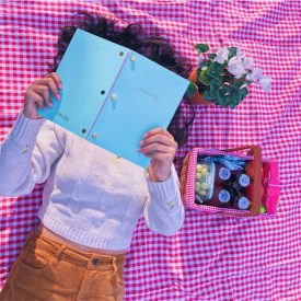 "Art Picnic"<br/>
Elizabeth Ayala<br/>
Monterey High School<br/>