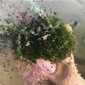 "Moss"<br/>
Emily Faith Herr<br/>
Monterey High School<br/>