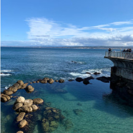 "Aqua Aqua"<br/>
Fatima Seck<br/>
Monterey High School<br/>