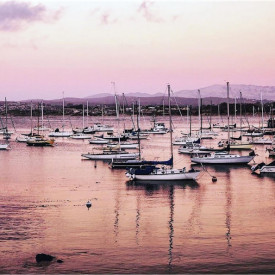 "Peaceful Moment"<br/>
Gonzalo Trinidad<br/>
Monterey High School<br/>