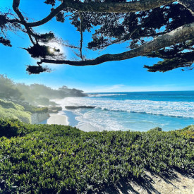 Untitled<br/>
Gabriela Gutierrez<br/>
Monterey High School<br/>