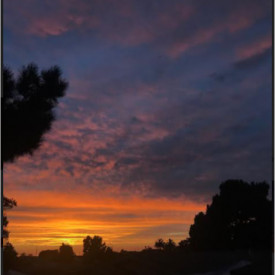 "Soft Sky"<br/>
Henry Juarez<br/>
Monterey High School<br/>