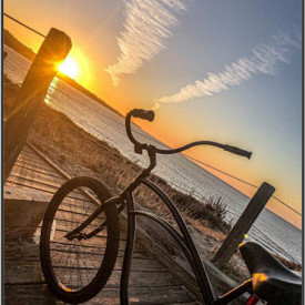 "Cruiser"<br/>
Jorge Marquez<br/>
Monterey High School<br/>