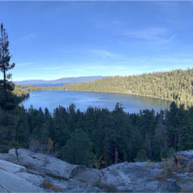 "Calm"<br/>
Josh Del Rosario<br/>
Monterey High School<br/>