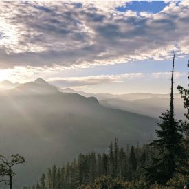 "Yosemite"<br/>
Josh Jessen<br/>
Monterey High School<br/>