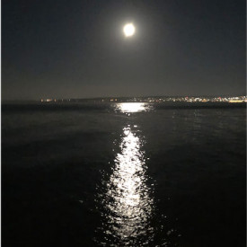 "Moonlight"<br/>
Kaleb Wilson<br/>
Monterey High School<br/>