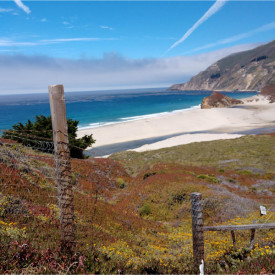 "Little Sur"<br/>
Kat McKeel<br/>
Monterey High School<br/>