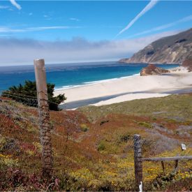 "Little Sur"<br/>
Kat McKeel<br/>
Monterey High School<br/>