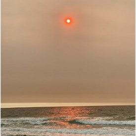 "Fire Sun"<br/>
Kaylie Mendiola<br/>
Monterey High School<br/>