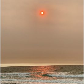 "Fire Sun"<br/>
Kaylie Mendiola<br/>
Monterey High School<br/>