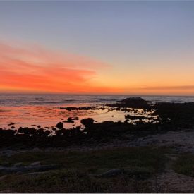 "Asilomar Sunset"<br/>
Levi Elmore<br/>
Monterey High School<br/>