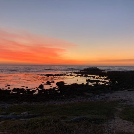 "Asilomar Sunset"<br/>
Levi Elmore<br/>
Monterey High School<br/>