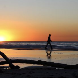 "Sonder"<br/>
Lili Menkal<br/>
Carmel High School<br/>