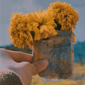 "Marigolds"<br/>
Maryam Naeem<br/>
Monterey High School<br/>