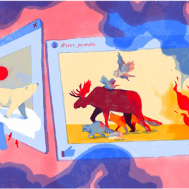 "Save Animals"<br/>
Nadia Ivanova<br/>
Monterey High School<br/>