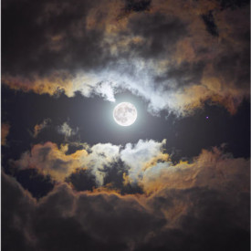 "Golden Edges"<br/>
Nayeli Garcia<br/>
Monterey High School<br/>