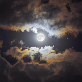 "Reaching"<br/>
Nayeli Garcia<br/>
Monterey High School<br/>