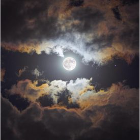 "Reaching"<br/>
Nayeli Garcia<br/>
Monterey High School<br/>