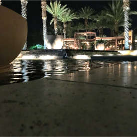 "Midnight Swim"<br/>
Nikko Aguisanda<br/>
Monterey High School<br/>