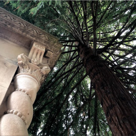 "Old Friends"<br/>
Osama Al Zamle<br/>
Monterey High School<br/>