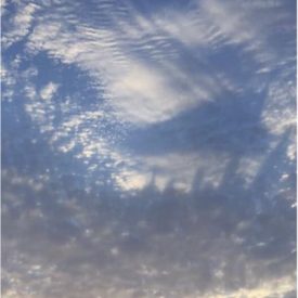 "Angel Wings"<br/>
Priscilla Garcia Fabian<br/>
Monterey High School<br/>