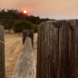 "Scarlet Sun"<br/>
Emma Kim<br/>
Santa Catalina School<br/>