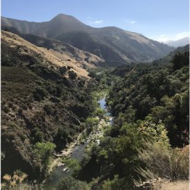 "Saturday Ride"<br/>
Simon Di Paolo<br/>
Monterey High School<br/>