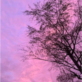 "Lace Tree"<br/>
Skylar Dodge<br/>
Monterey High School<br/>