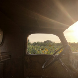 "Golden"<br/>
Soraya Arbaiza<br/>
Monterey High School<br/>