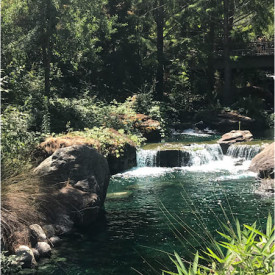 "Big Sur River"<br/>
Valeria Terrazas Emigdio<br/>
Monterey High School<br/>