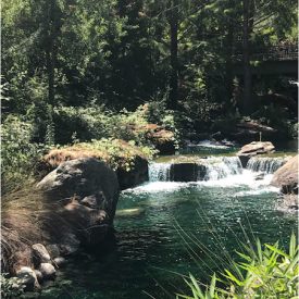 "Big Sur River"<br/>
Valeria Terrazas Emigdio<br/>
Monterey High School<br/>