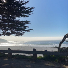 "Fog Bank"<br/>
Yailen Lopez Rodriguez<br/>
Monterey High School<br/>