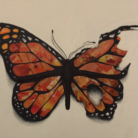 "The Price of Beauty"<br/>
Lily Weisenfeld<br/>
Carmel High School<br/>