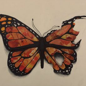 "The Price of Beauty"<br/>
Lily Weisenfeld<br/>
Carmel High School<br/>