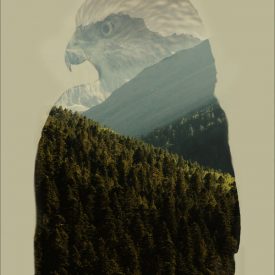 Untitled<br/>
Savannah Nicholas<br/>
Santa Catalina School<br/>